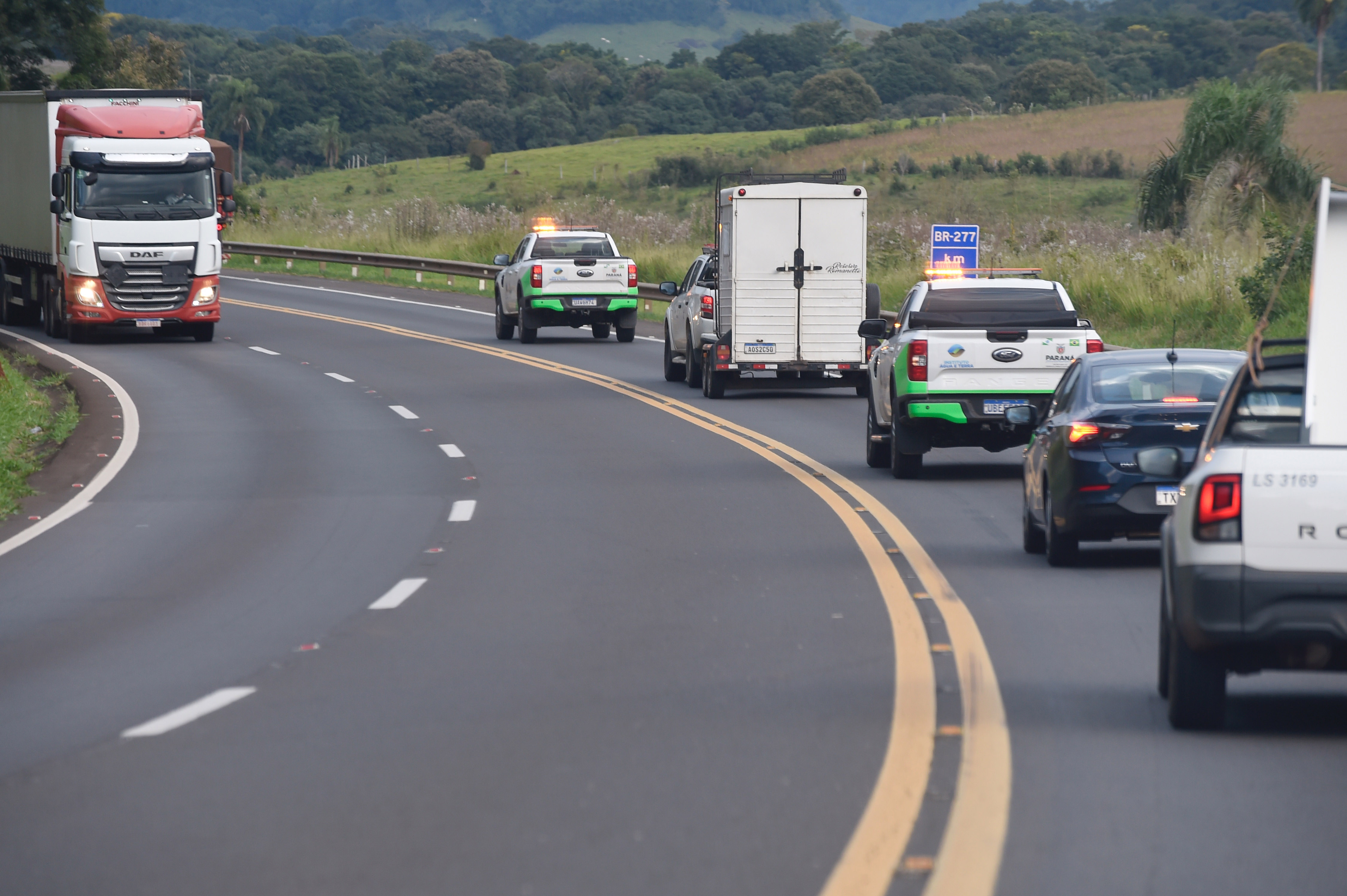 IAT resgata 29 cutias e 9 pacas de criadouro irregular em Cantagalo, no Centro-Sul