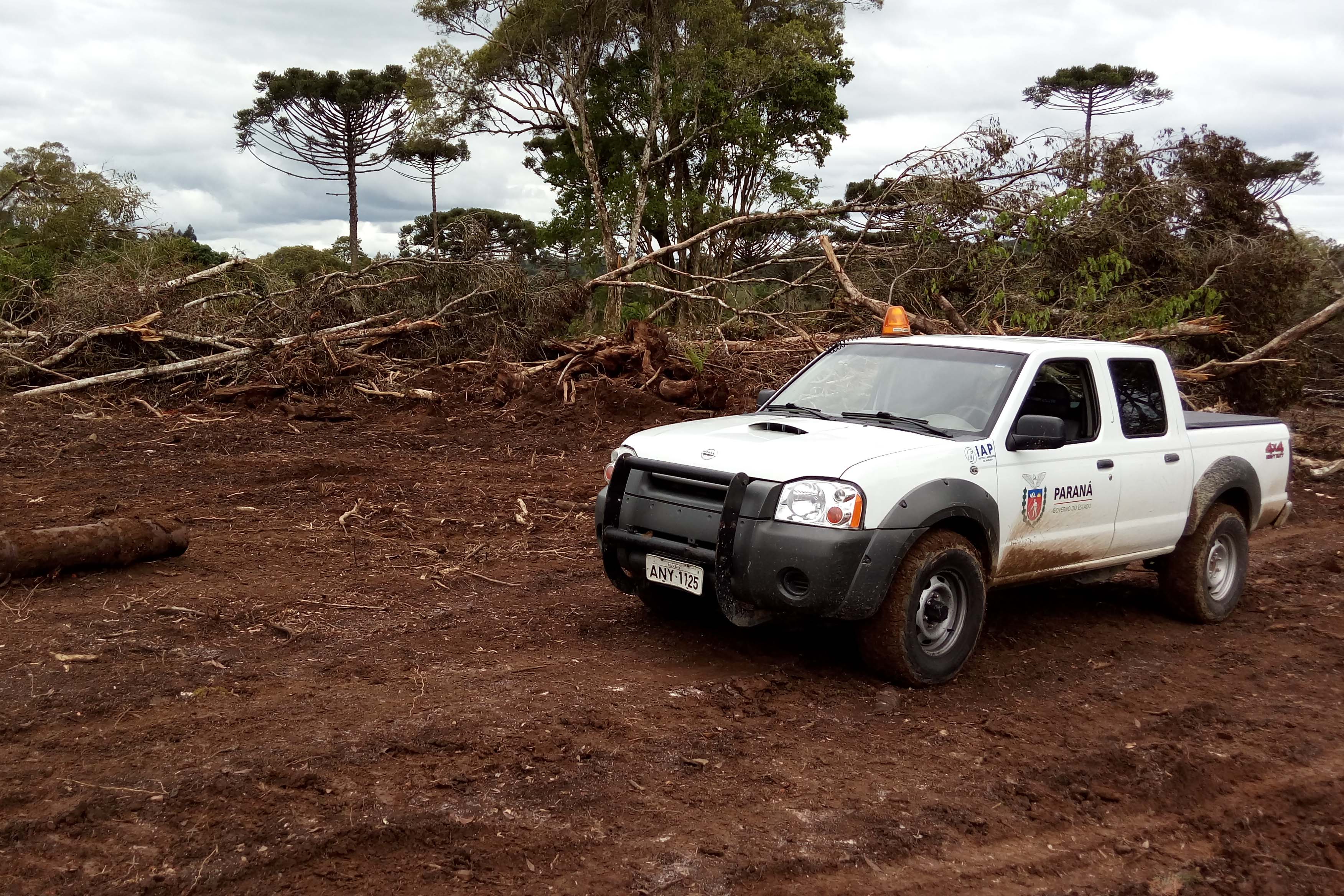 Com descontos e parcelamentos, Estado regulamenta Refis Ambiental
