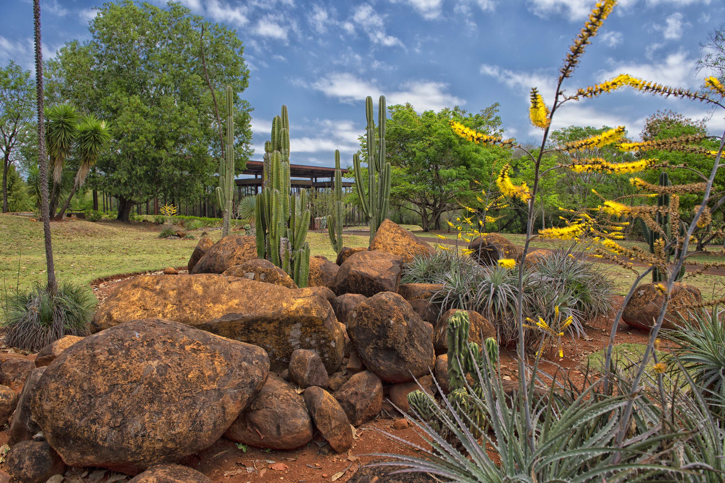 Jardim Botânico de Londrina: passeio pela flora nativa do Paraná 