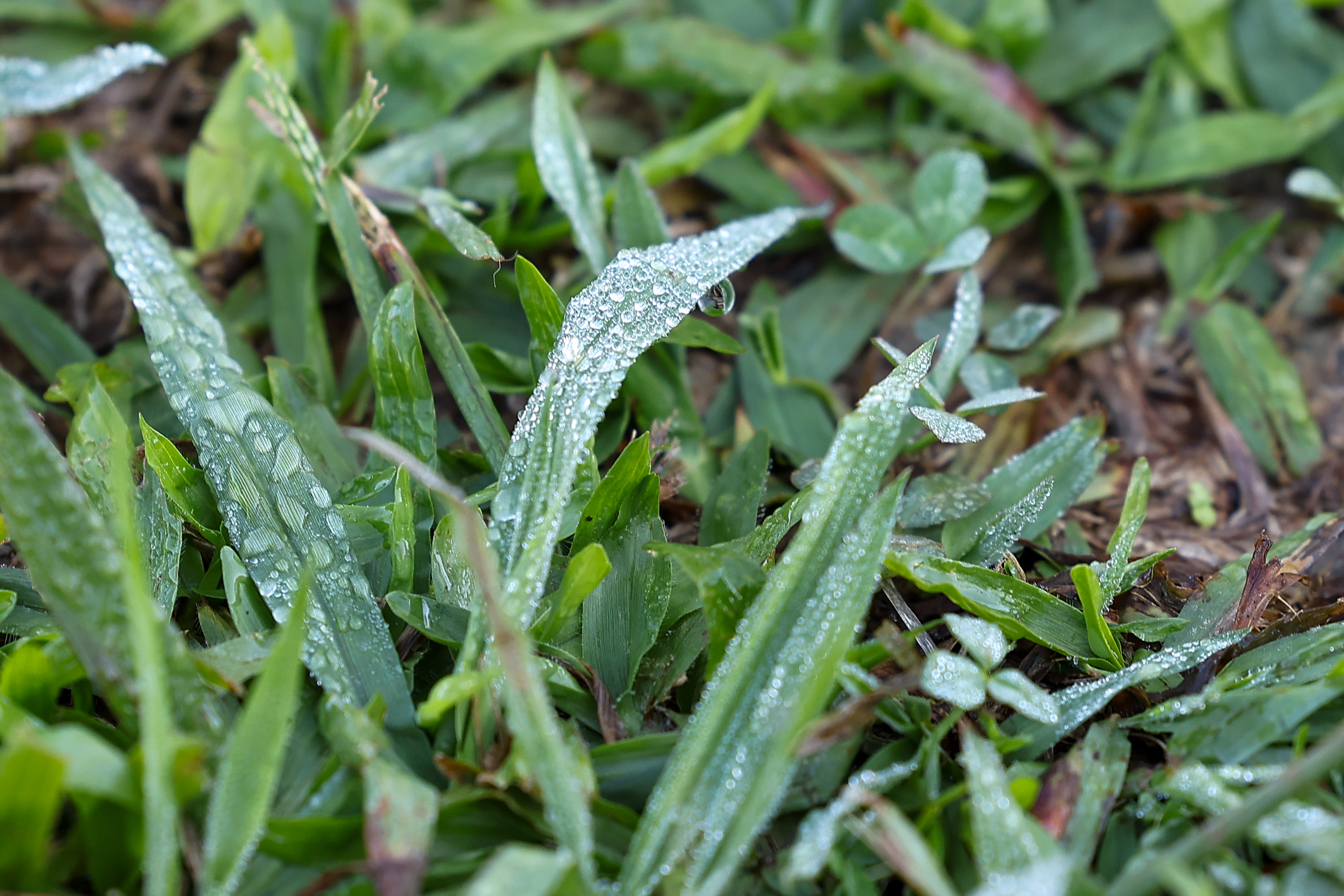 Com massa de ar polar, Paraná tem primeiras temperaturas negativas e recorde de frio no ano