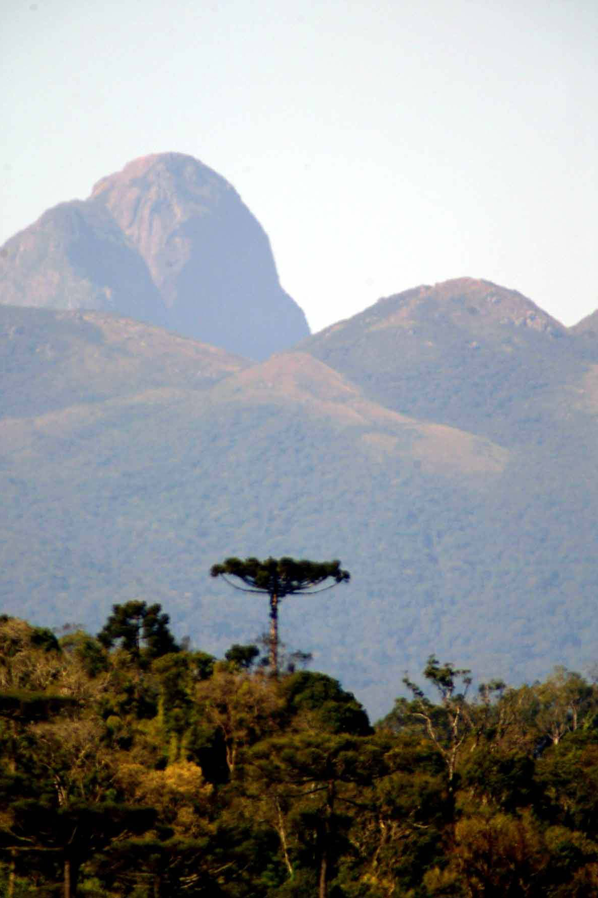 IAT reforça cuidados especiais em áreas de campos de altitude do Pico Paraná