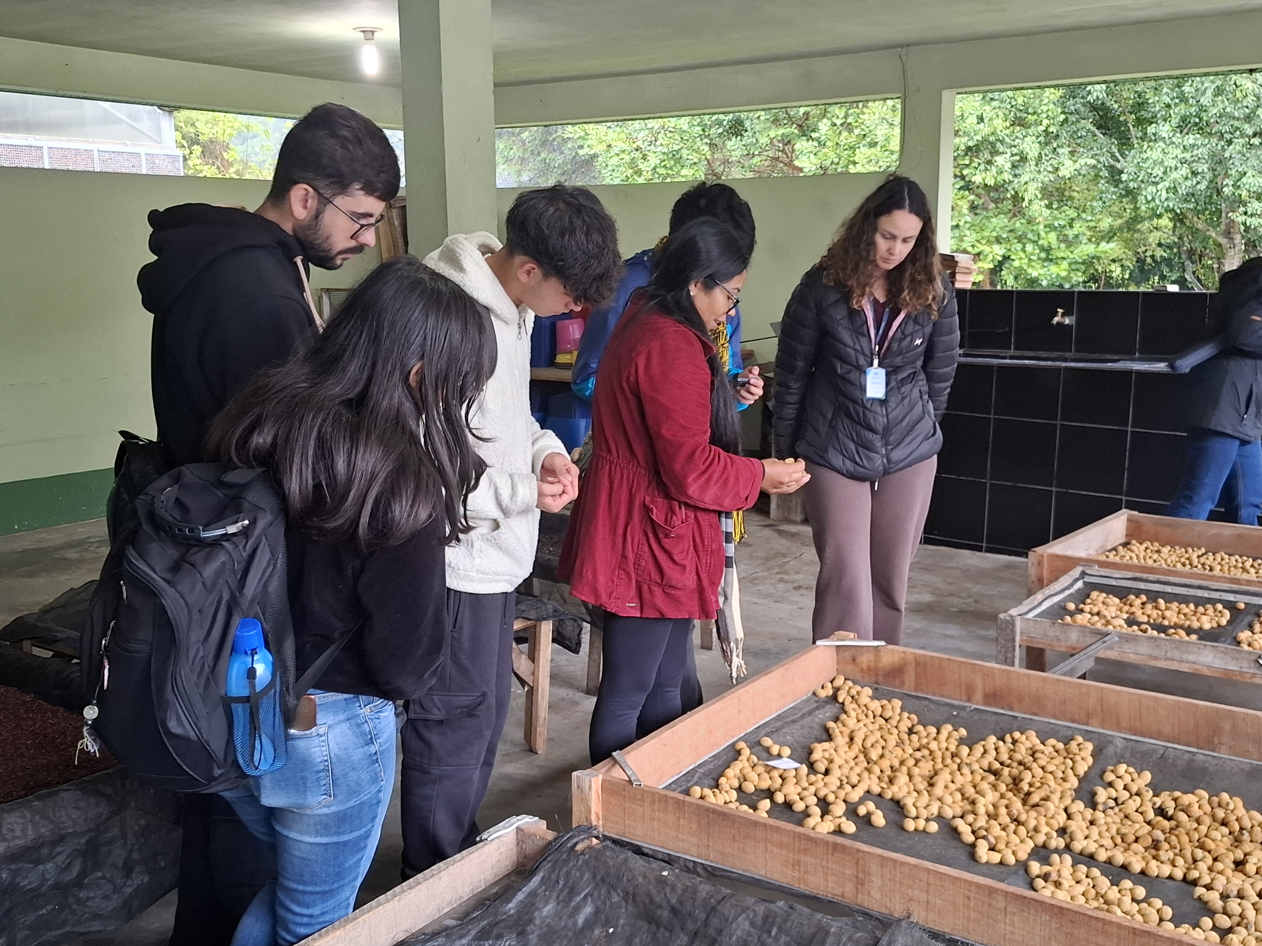 Um dia no viveiro: estudantes da UFPR conhecem viveiro do IAT em São José dos Pinhais