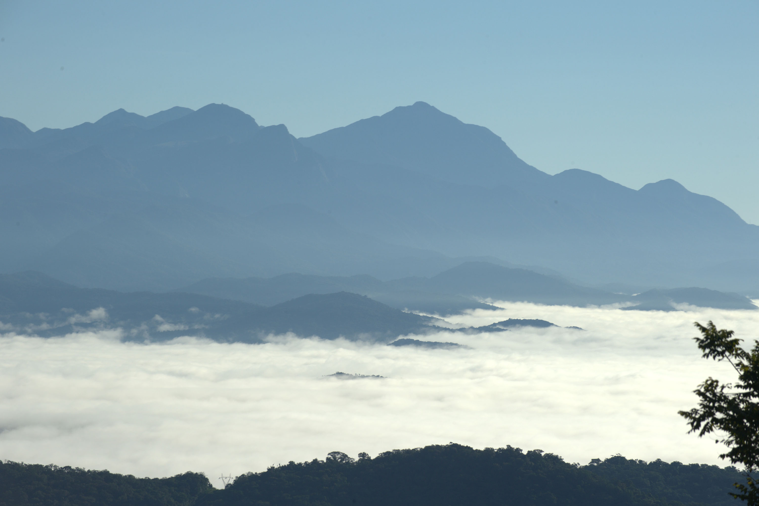 Edição 2026 do Selo Clima Paraná alcançou 382 participantes, 22% a mais do que no ano passado