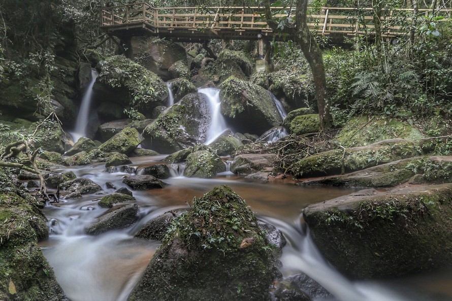 Campos Gerais têm natureza, tropeirismo e cultura europeia