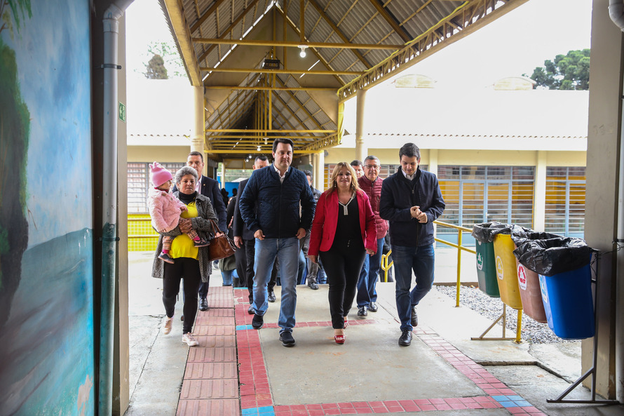 Paraná Mais Verde planta 413 mil árvores nativas