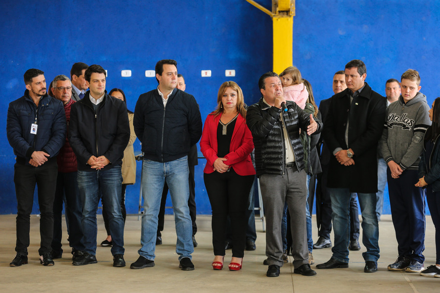 Paraná Mais Verde planta 413 mil árvores nativas