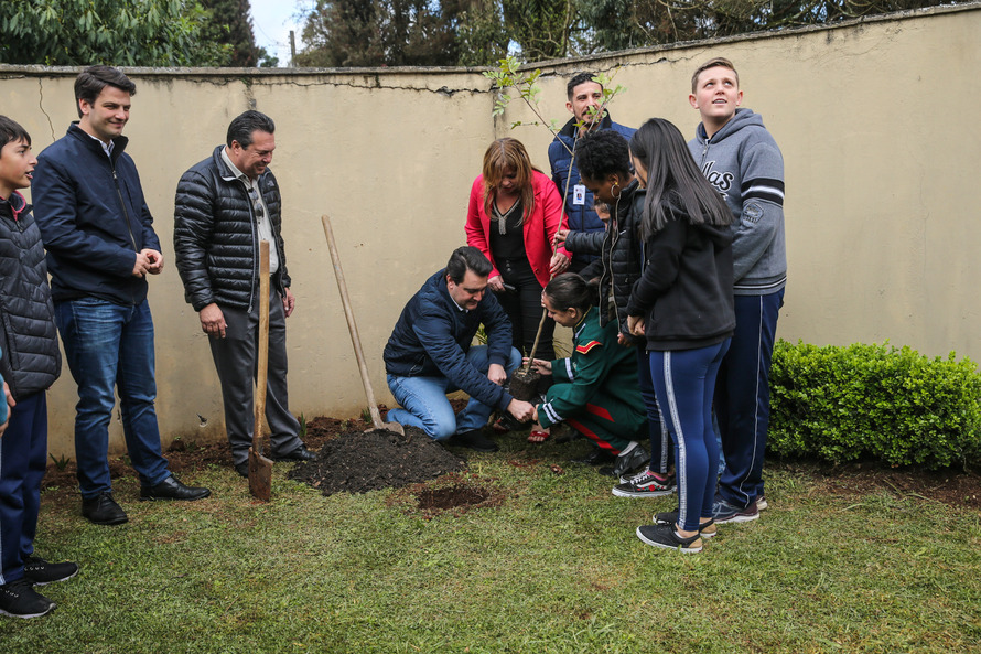 Paraná Mais Verde planta 413 mil árvores nativas