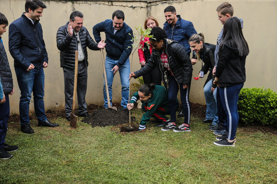 Paraná Mais Verde planta 413 mil árvores nativas