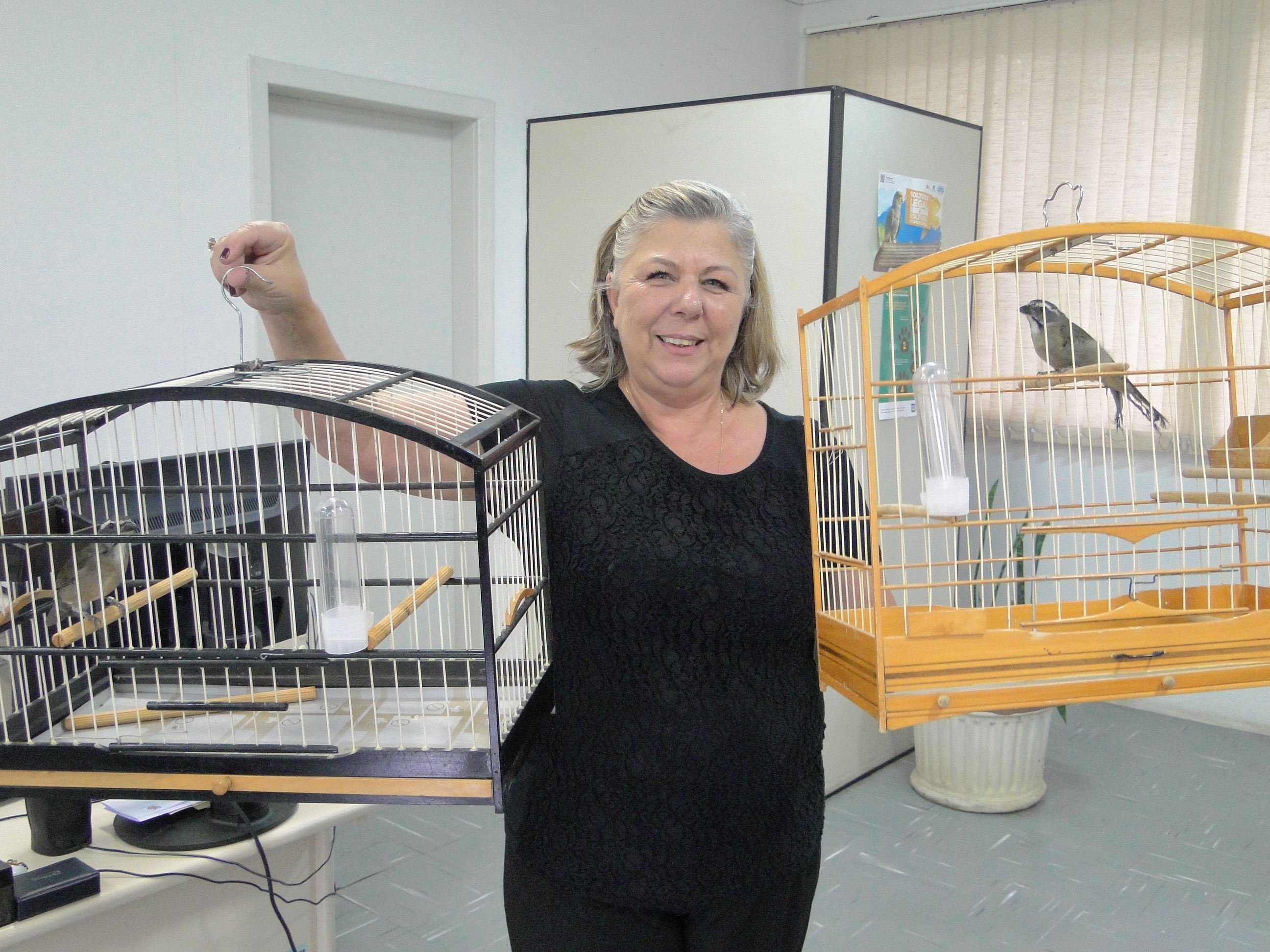 O Instituto Ambiental do Paraná (IAP) cedeu os cuidados de 32 pássaros silvestres a voluntários que se cadastraram junto ao órgão. São animais das mais diversas espécies nativas silvestres que não têm condições de retornar à natureza. Os voluntários fizeram o cadastro para serem guardiões dessas espécies. Na foto, a profissional da área de comunicação Neusa Mansur recebeu a guarda de dois trinca ferros.Curitiba, 06/04/2017.Foto: Divulgação IAP