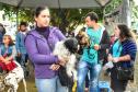 Castração gratuita de cães e gatos inicia ações do Julho Dourado