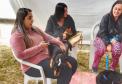 Castração gratuita de cães e gatos inicia ações do Julho Dourado