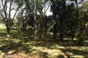 Parque Estadual do Monge