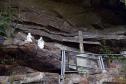 Parque Estadual do Monge