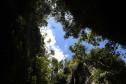 Parque Estadual do Monge