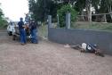 IAT fiscaliza pesca irregular e fecha cativeiro de aves no Centro-Oeste do Estado 