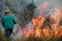 IAT capacita 65 voluntários para atuar em incêndios em Unidades de Conservação