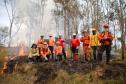 IAT capacita 65 voluntários para atuar em incêndios em Unidades de Conservação