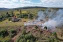 Ação de controle do pinus limpou em junho 11,2 hectares do Parque Estadual de Vila Velha