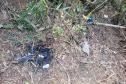 Sujeira deixada por visitantes impacta diretamente na qualidade da água de fontes do Parque Estadual Pico Paraná.