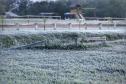 Geada - 30-06-2024
