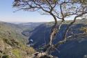 Parque Estadual do Guartelá terá gestão compartilhada entre IAT e Prefeitura de Tibagi