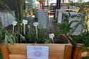 IAT promove a inclusão social e ambiental por meio dos jardins sensoriais