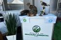 IAT promove a inclusão social e ambiental por meio dos jardins sensoriais