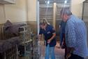 IAT e Unifil renovaram o convênio para atendimento à fauna silvestre: novo vínculo é de cinco anos.
