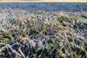 Recorde de frio: 18 cidades do Paraná registram a temperatura mais baixa do ano