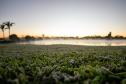 Recorde de frio: 18 cidades do Paraná registram a temperatura mais baixa do ano