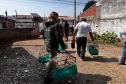 IAT apreende sete pássaros mantidos em cativeiro irregular em Curitiba