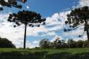 Paraná é o Estado mais sustentável do Brasil, aponta Ranking de Competitividade.