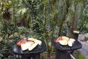 Parceria entre IAT e Ceasa-PR encaminha cerca de 29 toneladas de frutas, verduras e legumes para o Criadouro Onça Pintada, em Campina Grande do Sul