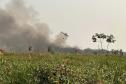 IAT combate focos de incêndios florestais no Noroeste do Paraná