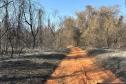 IAT ajuda a combater três novos focos de incêndio florestal no Paraná