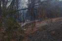 Caminhões-pipa fornecidos pelo Estado ajudam a combater incêndio florestal em Cianorte