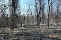 Helicóptero do IAT vai reforçar combate a incêndio florestal em Maria Helena