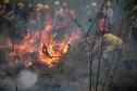 IAT emite alerta para risco elevado de incêndio em Unidades de Conservação