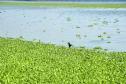 Paraná é o Estado mais sustentável do Brasil, aponta Ranking de Competitividade.