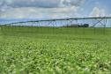 Paraná é o Estado mais sustentável do Brasil, aponta Ranking de Competitividade