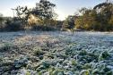 15 cidades com temperatura abaixo de zero e -5,3°C: 13 de agosto foi o dia mais frio do ano