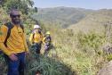 Com apoio de voluntários e helicóptero, IAT retira 58 hectares de pinus do Guartelá 