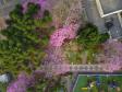 Simepar prevê primavera quente e com chuva abaixo da média histórica no Paraná