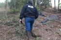 Primeira operação de parcelamento irregular do solo em área rural coordenada pelo IAT terminou com mais de R$ 20 milhões em multas