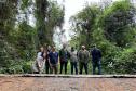 IAT resgata filhote de onça-parda preso em árvore de 20 metros no Oeste do Paraná
