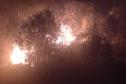 Para prevenir incêndios, Paraná suspende por 90 dias queima controlada no campo