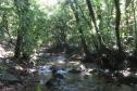 Estado repassa R$ 200 milhões em ICMS Ecológico por Biodiversidade aos municípios