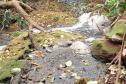 Suinocultor é multado em R$ 100 mil por infração ambiental em córrego de Toledo