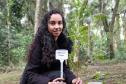 Servidores do escritório regional do IAT de Curitiba durante plantio de mudas no viveiro de São José dos Pinhais