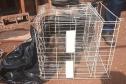 IAT devolve à natureza gato-mourisco resgatado em galinheiro de Campo Mourão